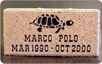 engraved brick with epoxy fill