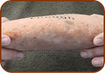 Side View Engraved River Rock