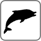 Gift Bricks® Dolphin Symbol