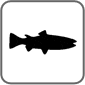 Gift Bricks® Fish Symbol