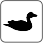 Gift Bricks® Swan Symbol